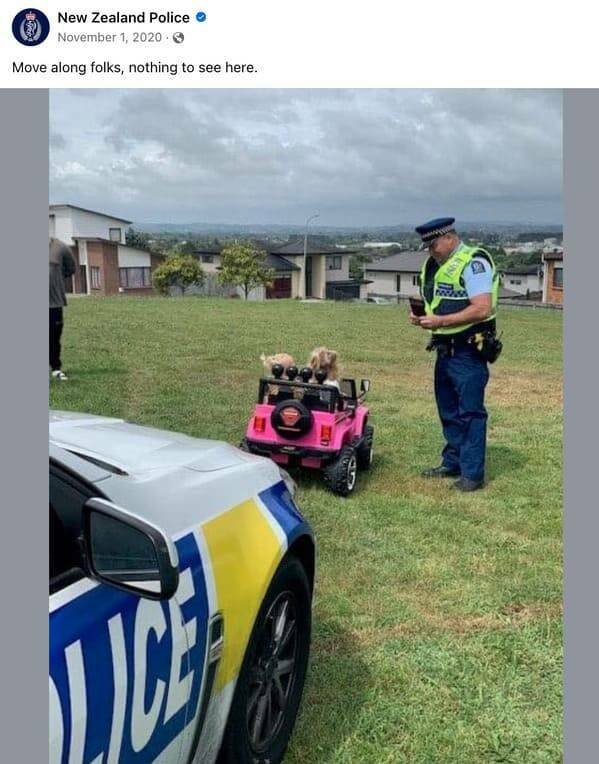 Funny New Zealand Police Posts (27 pics)