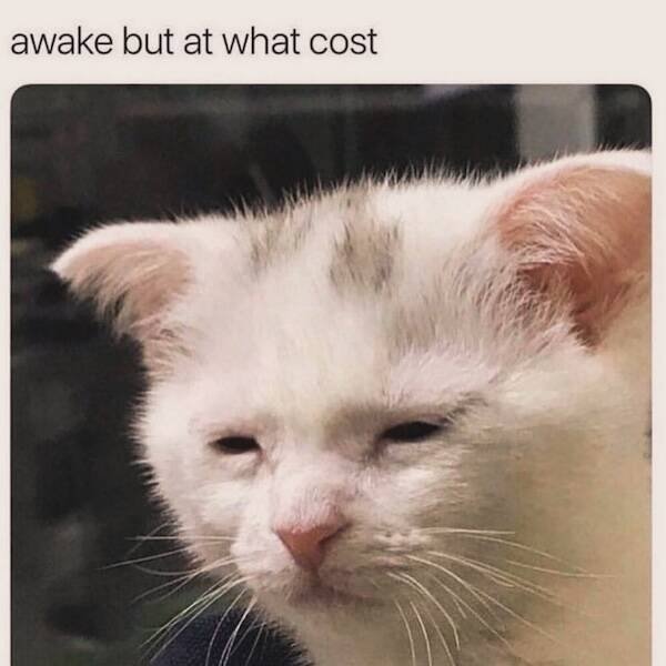 Memes About Unhealthy Sleep (23 pics)