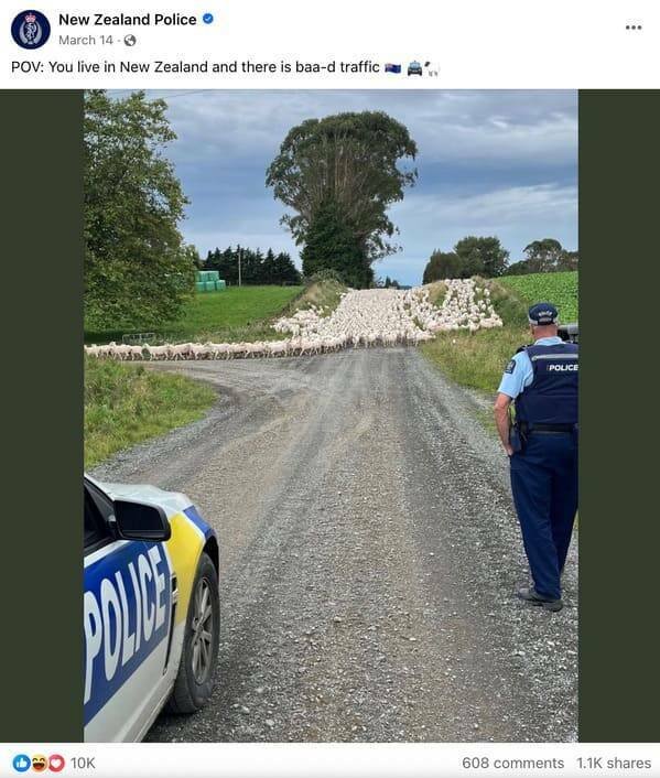 Funny New Zealand Police Posts (27 pics)
