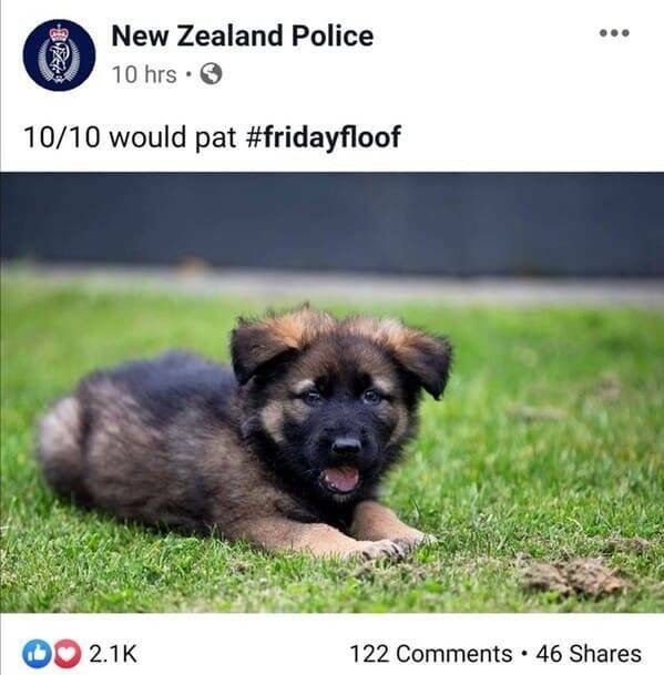 Funny New Zealand Police Posts (27 pics)