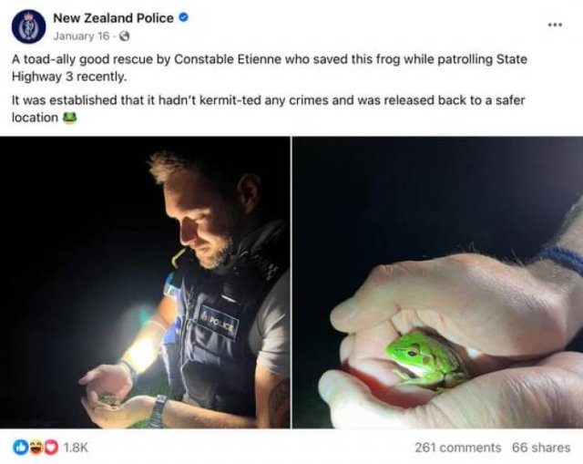 Funny New Zealand Police Posts (27 pics)