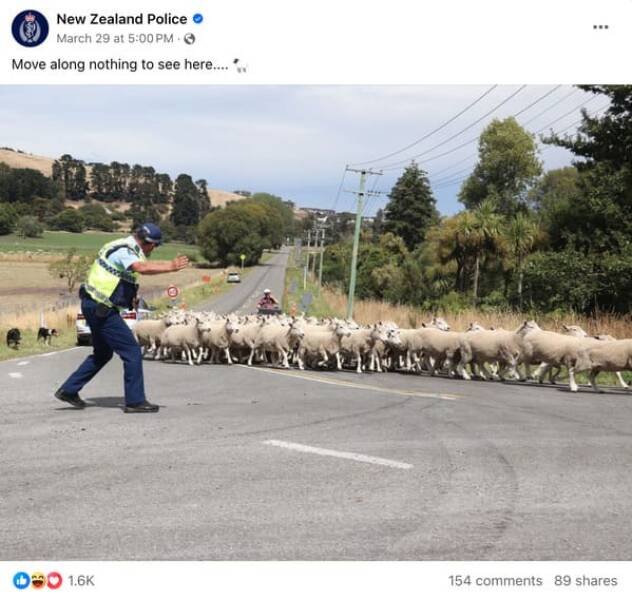 Funny New Zealand Police Posts (27 pics)