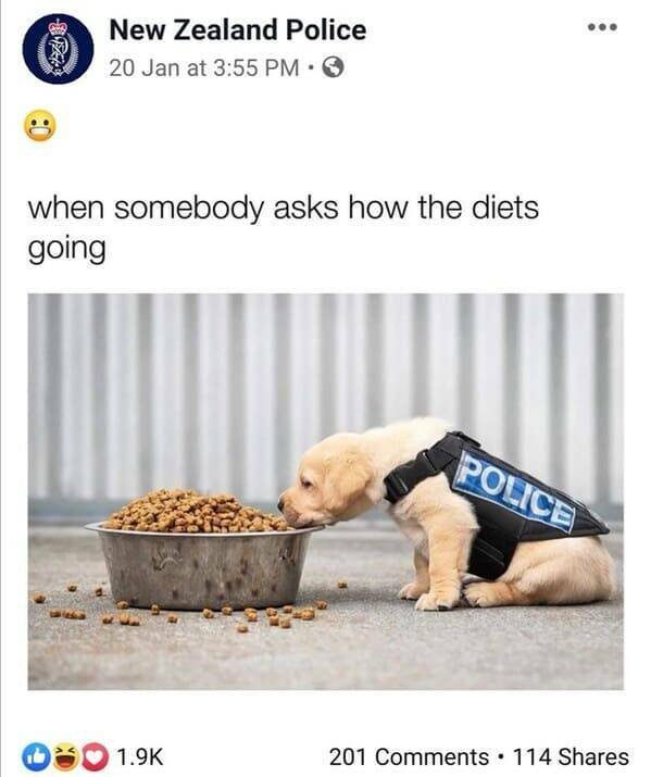 Funny New Zealand Police Posts (27 pics)