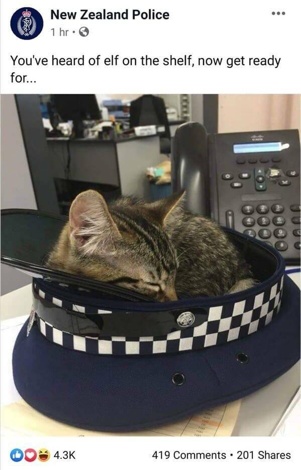 Funny New Zealand Police Posts (27 pics)