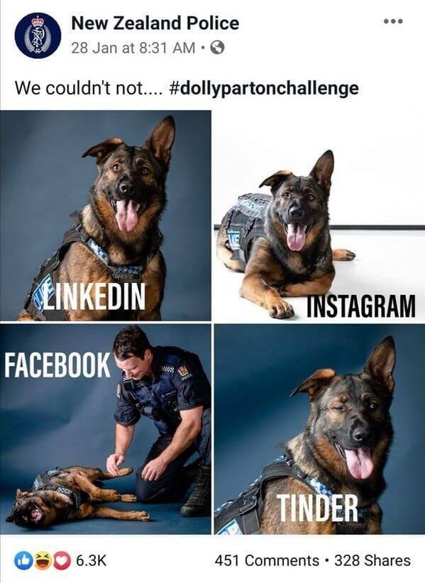 Funny New Zealand Police Posts (27 pics)