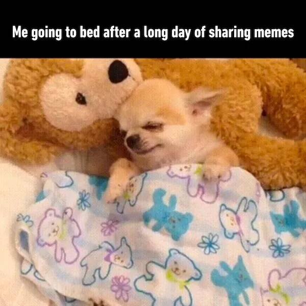 Memes About Unhealthy Sleep (23 pics)