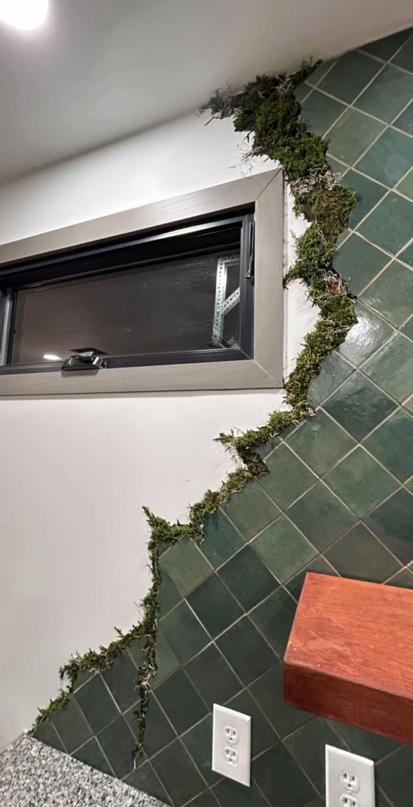 Odd Repair (24 pics)