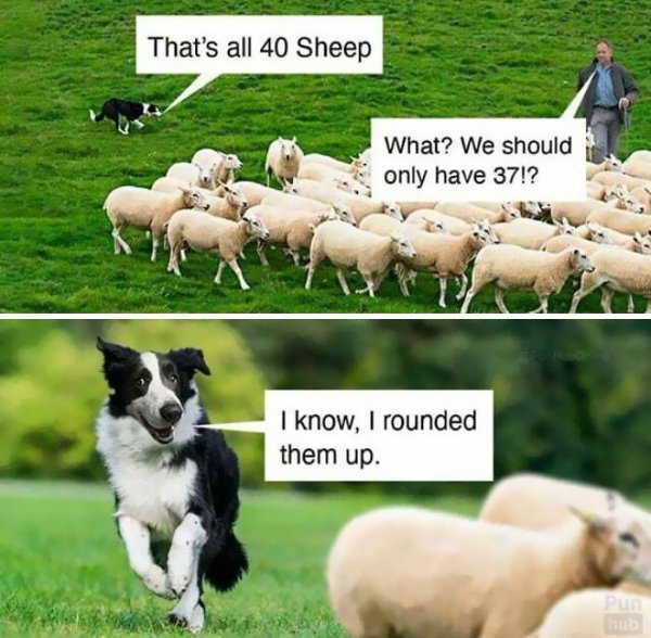 Memes For Boomers (22 pics)