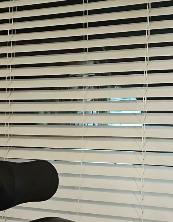 Creepy Photos (18 pics)