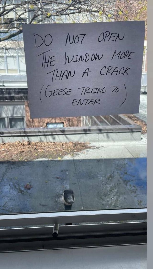 Funny Signs (18 pics)