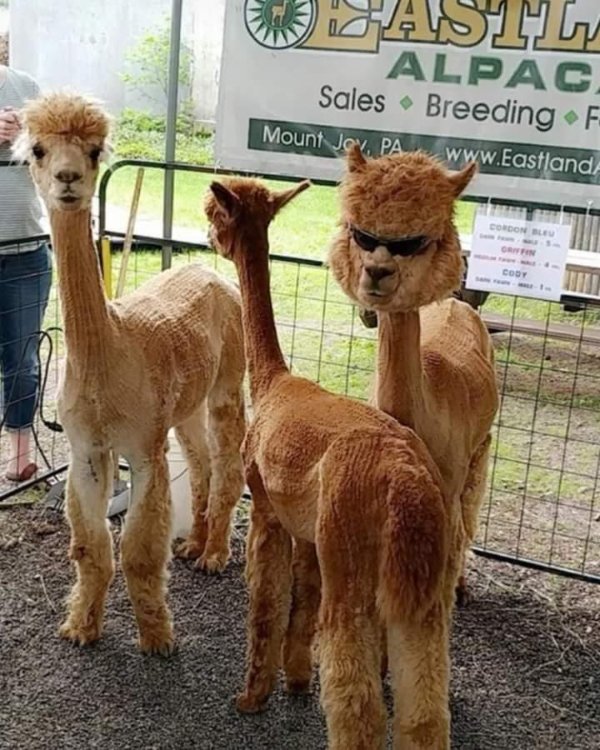What Is Going On Here? (23 pics)