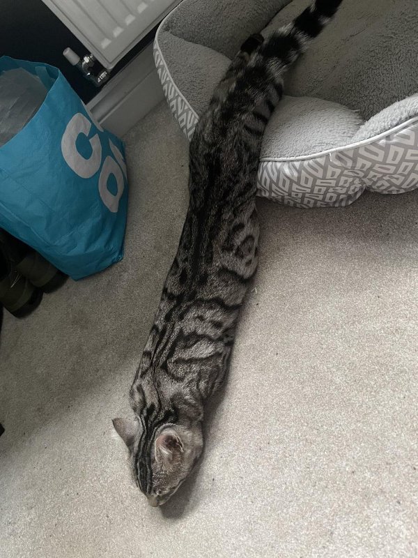 What Is Going On Here? (23 pics)
