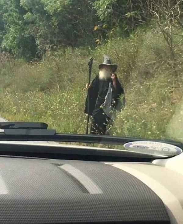 What Is Going On Here? (23 pics)