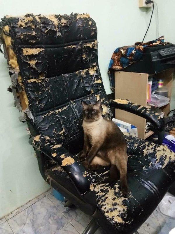 What Is Going On Here? (23 pics)