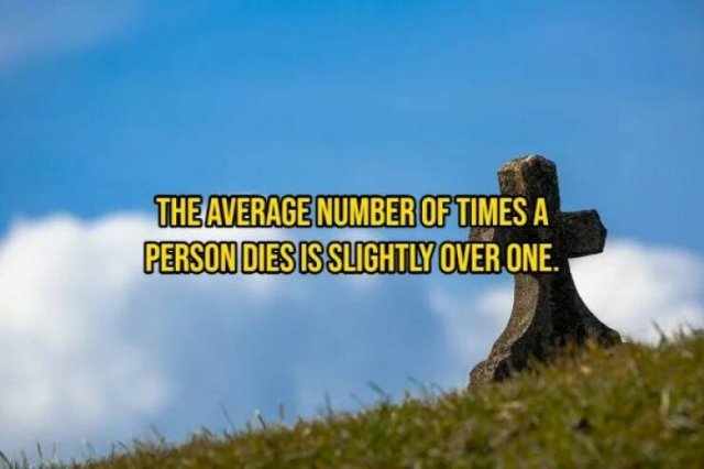 Interesting Thoughts (14 pics)
