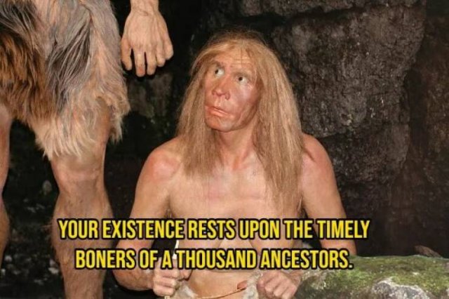 Interesting Thoughts (14 pics)