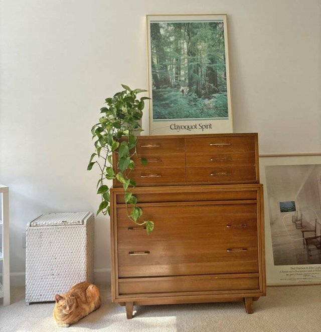 Successful Finds And Purchases (19 pics)