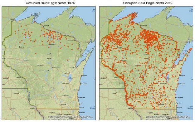 Interesting Maps (22 pics)