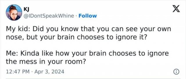 Funny Parent Tweets (25 pics)