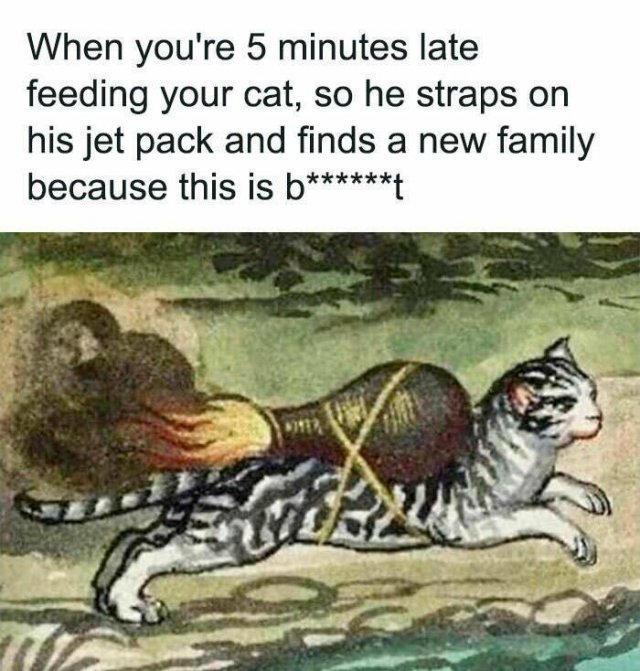 Classic Memes (23 pics)