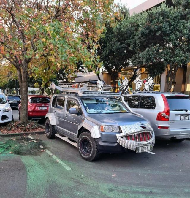Crazy Tuning (50 pics)