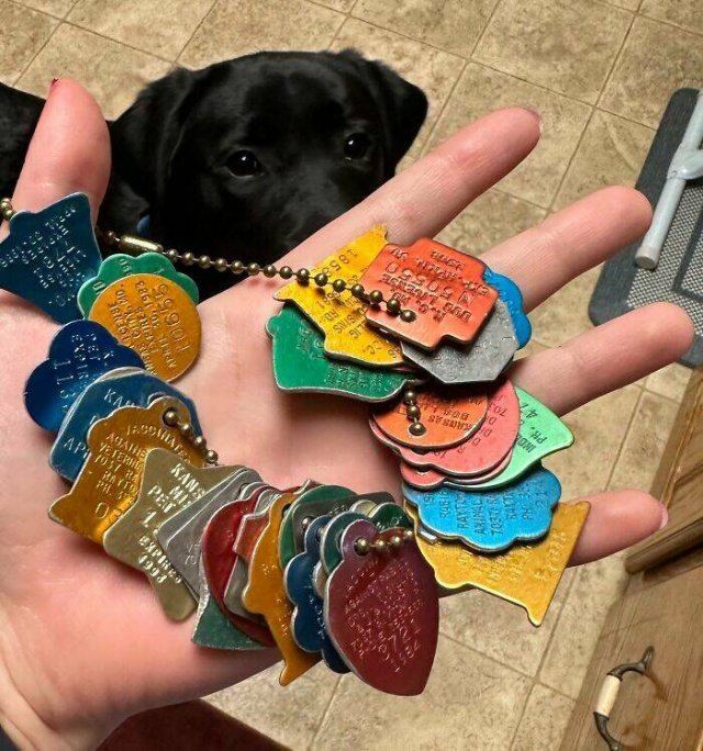 Cool And Interesting Collections (27 pics)