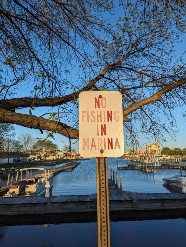 Interesting Finds (20 pics) Interesting Finds (20 pics)