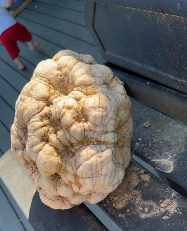 Interesting Finds (20 pics) Interesting Finds (20 pics)