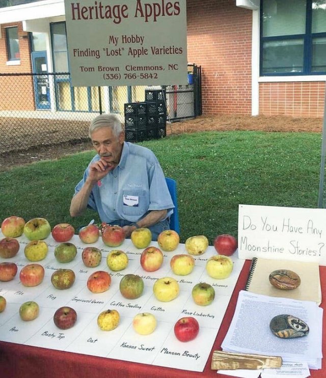 Cool And Interesting Collections (27 pics)