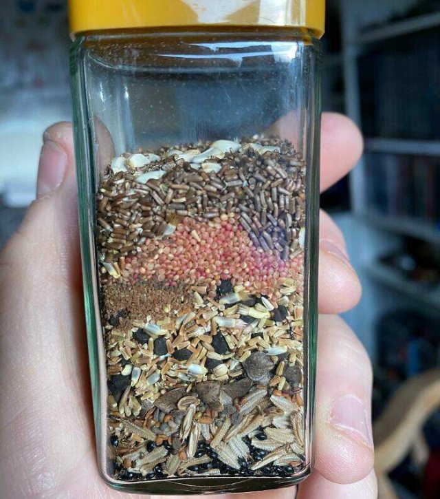 Cool And Interesting Collections (27 pics)