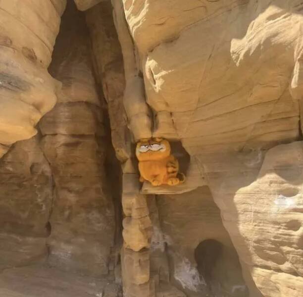 What Is Going On Here? (25 pics)