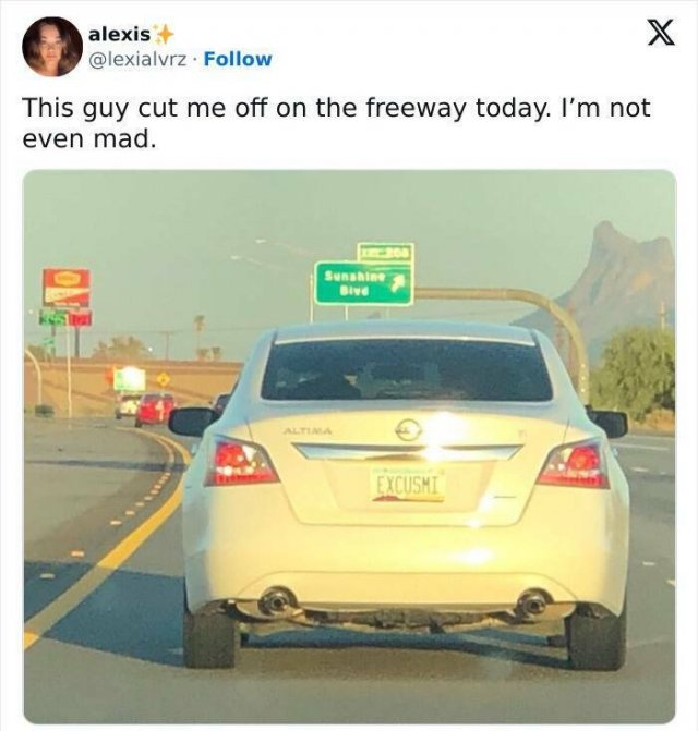 Truthful Memes (25 pics)