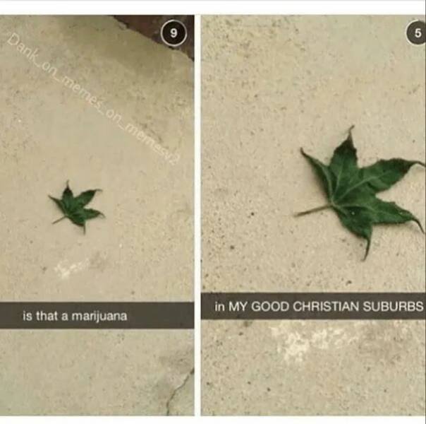 Memes About Suburbia (26 pics)