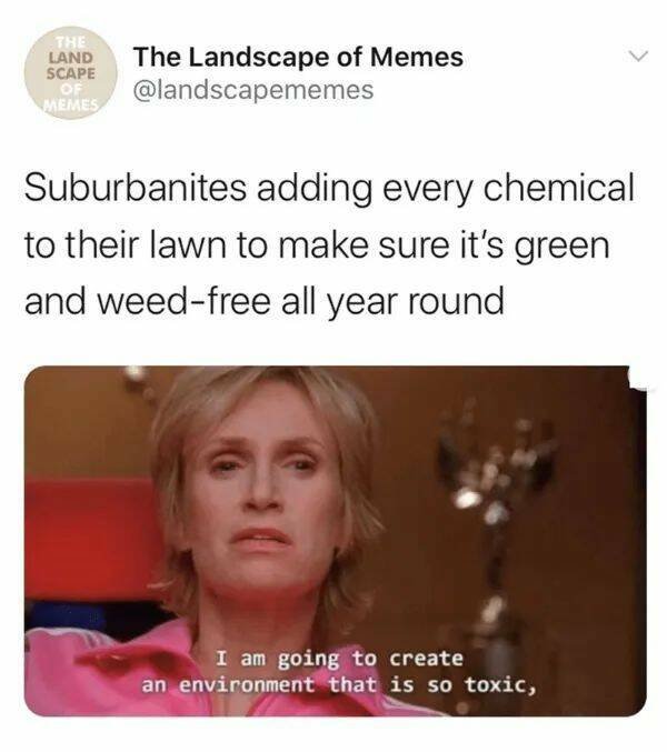 Memes About Suburbia (26 pics)