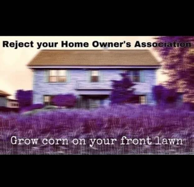 Memes About Suburbia (26 pics)