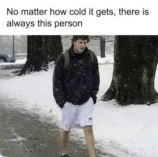 Truthful Memes (25 pics)