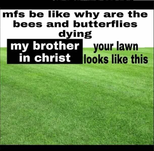 Memes About Suburbia (26 pics)