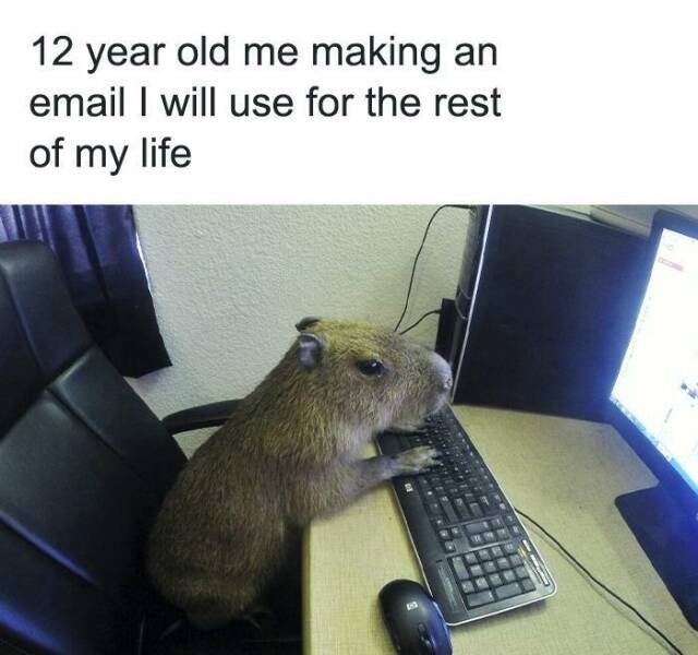 Truthful Memes (25 pics)