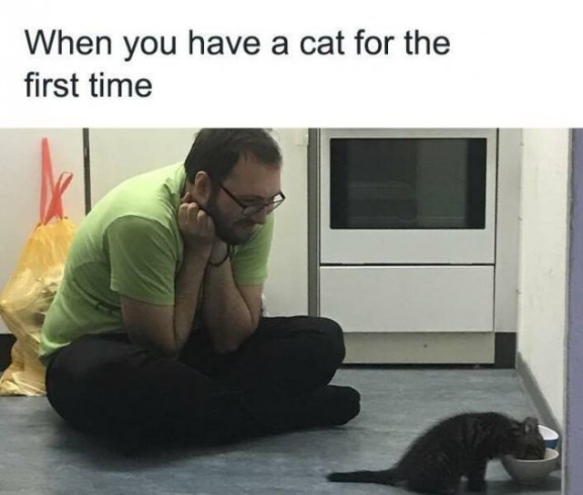Truthful Memes (25 pics)