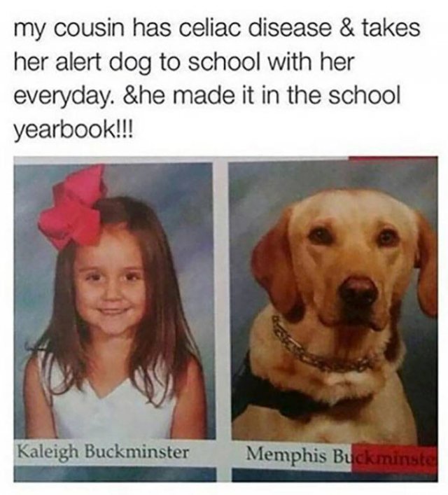 Man's Best Friends (22 pics)