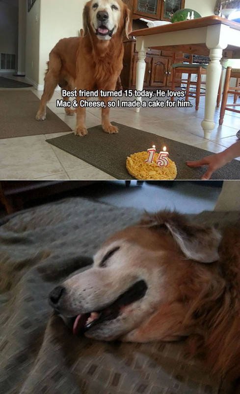Man's Best Friends (22 pics)