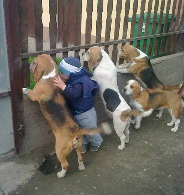 Man's Best Friends (22 pics)