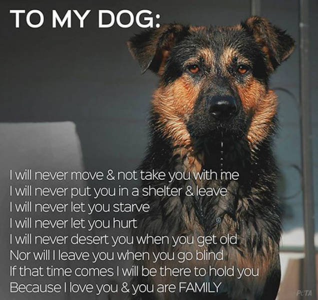 Man's Best Friends (22 pics)