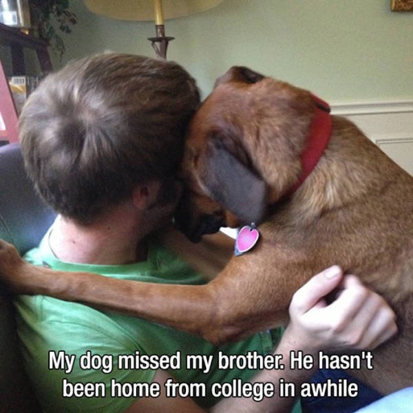 Man's Best Friends (22 pics)