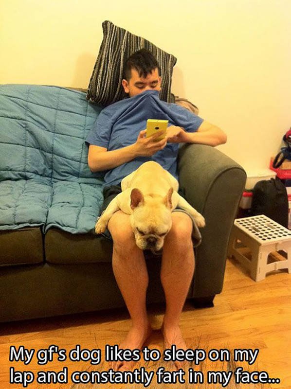 Man's Best Friends (22 pics)