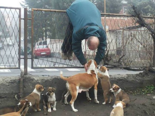 Man's Best Friends (22 pics)