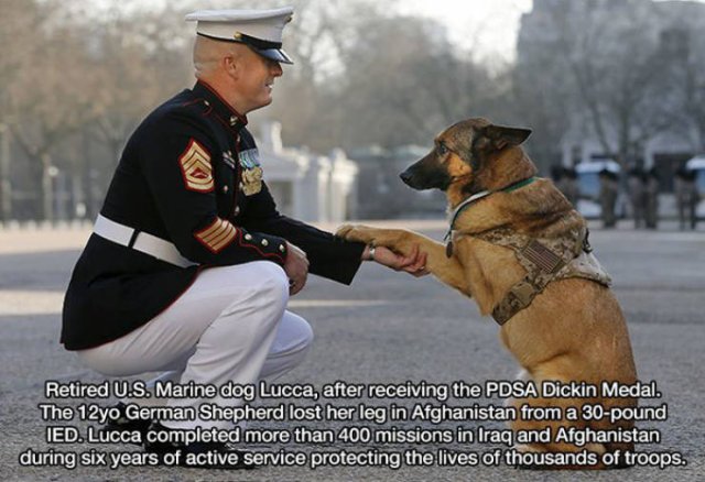 Man's Best Friends (22 pics)