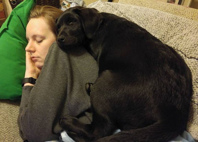 Man's Best Friends (22 pics)