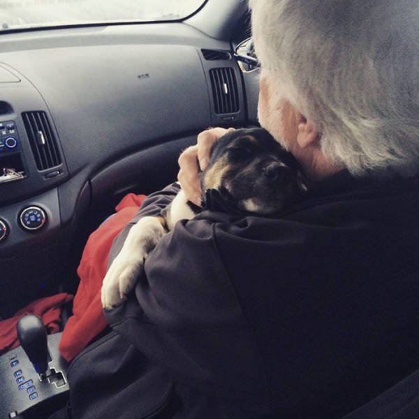 Man's Best Friends (22 pics)