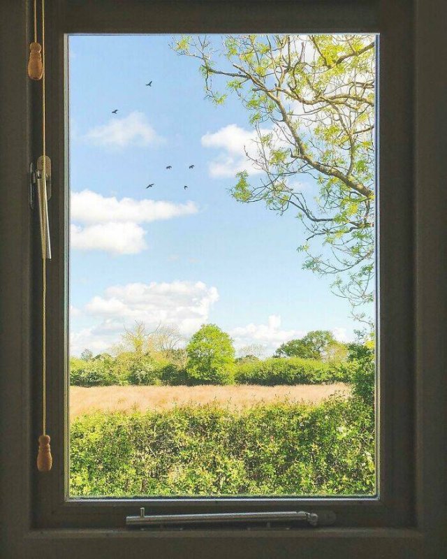 Photos That Unexpectedly Became Masterpieces (24 pics)